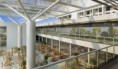 /album/tagua-life-center-office-e-shopping/a31circulacaomezanino-jpg1/